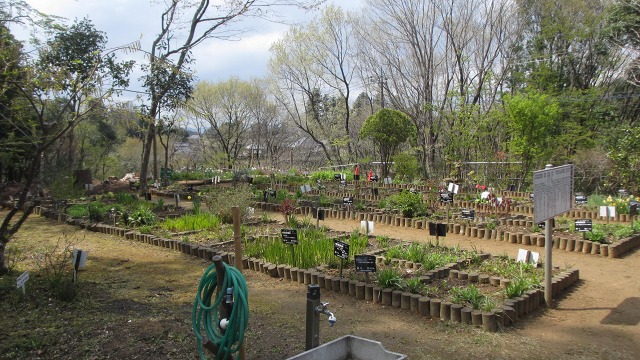 f:id:cafeee:20200702212631j:plain