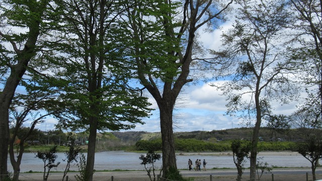 f:id:cafeee:20200706223139j:plain