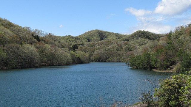 f:id:cafeee:20200708212659j:plain