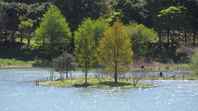 f:id:cafeee:20200708212946j:plain