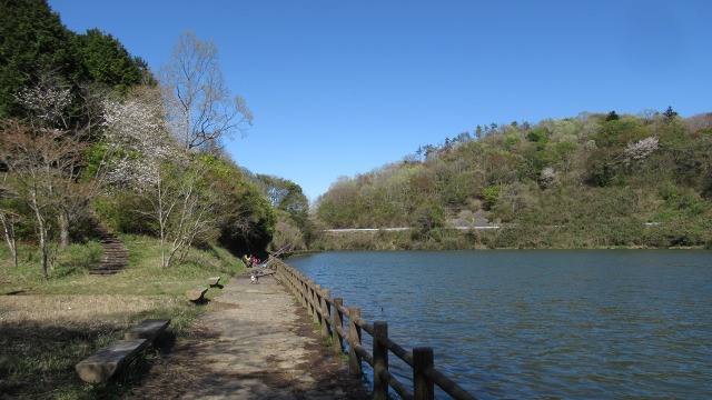 f:id:cafeee:20200708213251j:plain