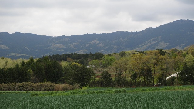 f:id:cafeee:20200712213659j:plain