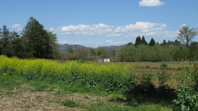 f:id:cafeee:20200713204027j:plain