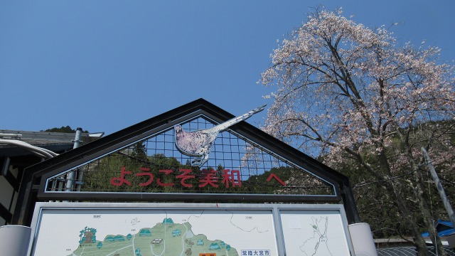 f:id:cafeee:20200715213748j:plain