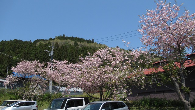 f:id:cafeee:20200715213900j:plain