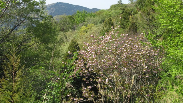 f:id:cafeee:20200716202608j:plain