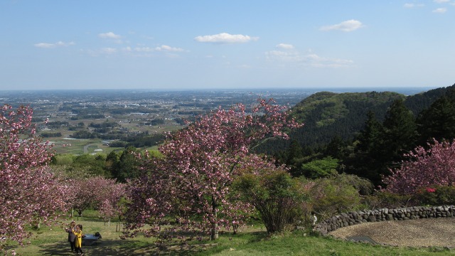 f:id:cafeee:20200716202704j:plain