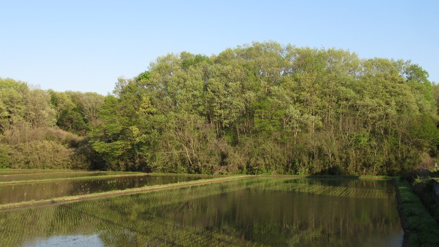 f:id:cafeee:20200716202740j:plain