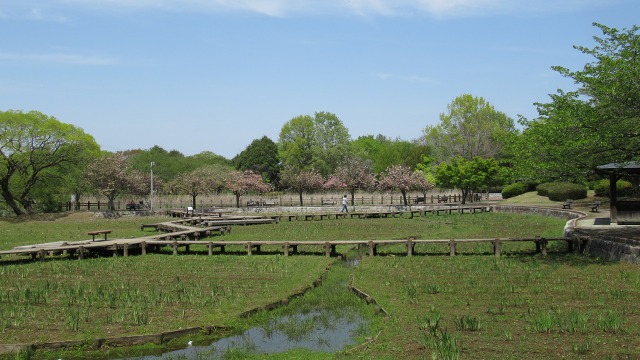 f:id:cafeee:20200719223621j:plain