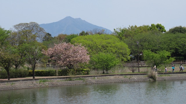 f:id:cafeee:20200719223703j:plain