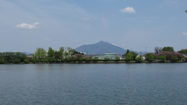 f:id:cafeee:20200719223757j:plain