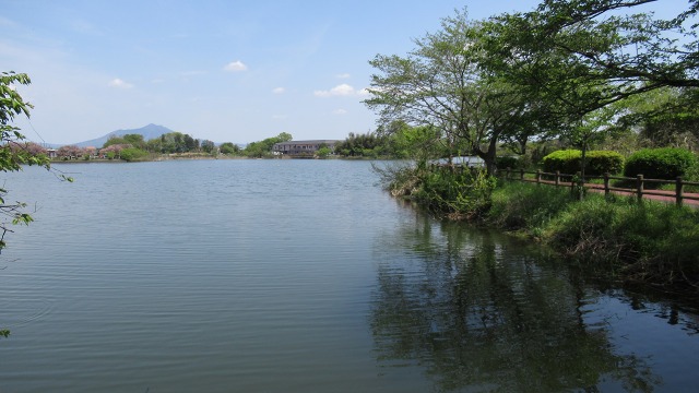 f:id:cafeee:20200719223826j:plain