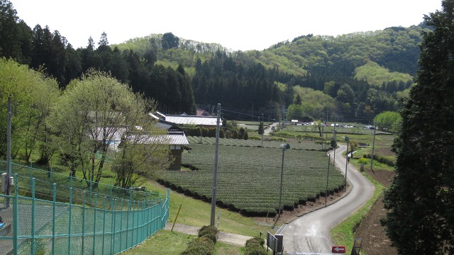 f:id:cafeee:20200726225943j:plain