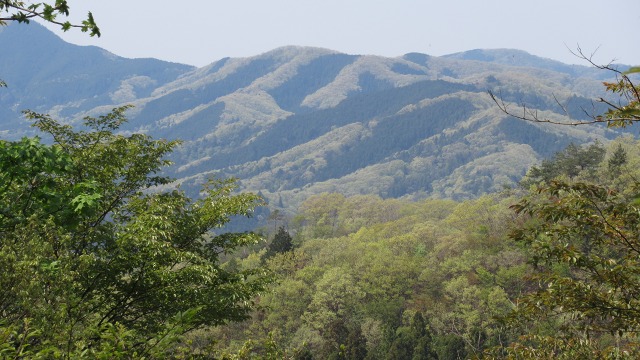 f:id:cafeee:20200726230308j:plain