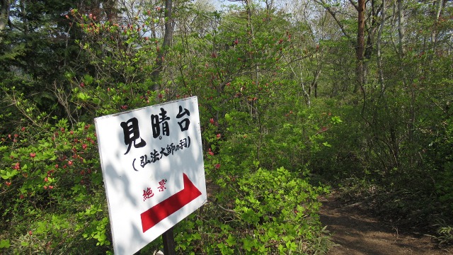 f:id:cafeee:20200726230429j:plain