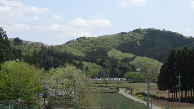 f:id:cafeee:20200726230834j:plain