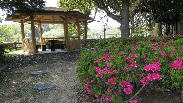 f:id:cafeee:20200730225227j:plain