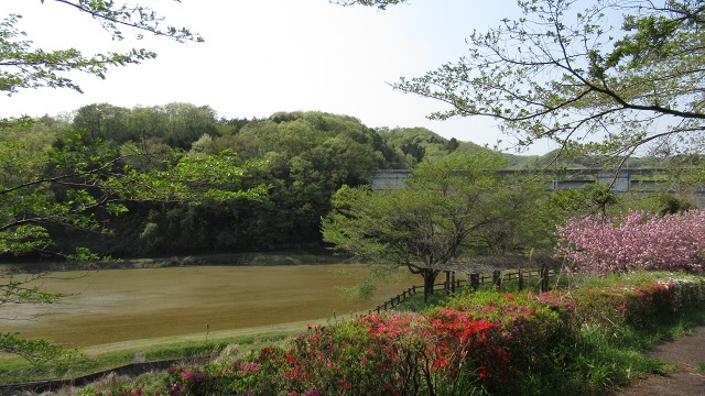 f:id:cafeee:20200730225301j:plain