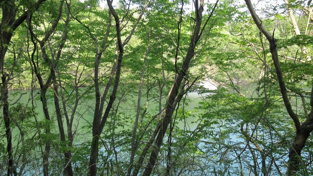 f:id:cafeee:20200730225427j:plain