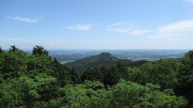 f:id:cafeee:20200823182136j:plain