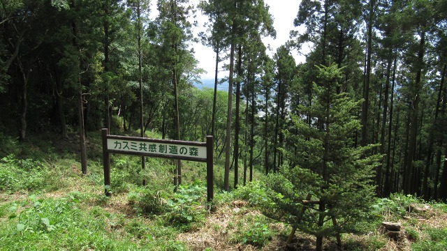 f:id:cafeee:20200823182328j:plain