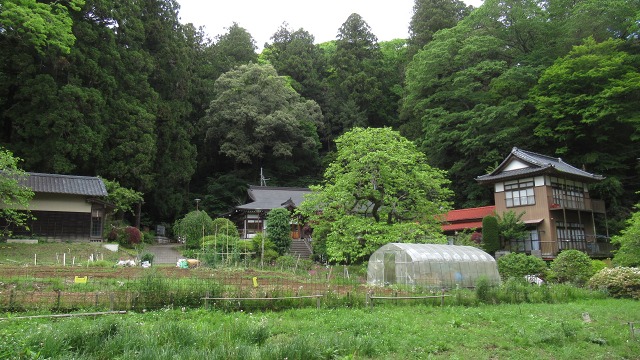 f:id:cafeee:20200830220120j:plain
