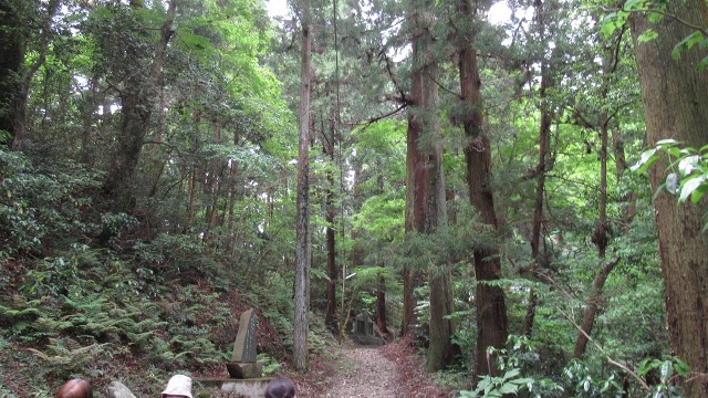f:id:cafeee:20200830220302j:plain