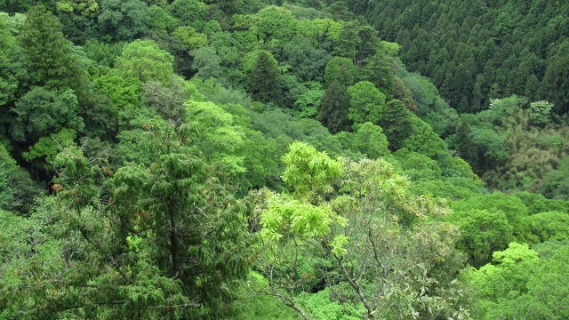 f:id:cafeee:20200830220640j:plain
