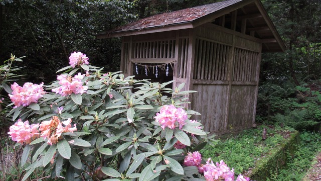 f:id:cafeee:20200830220719j:plain