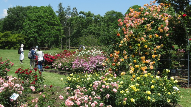 f:id:cafeee:20200901213319j:plain f:id:cafeee:20200901213319j:plain