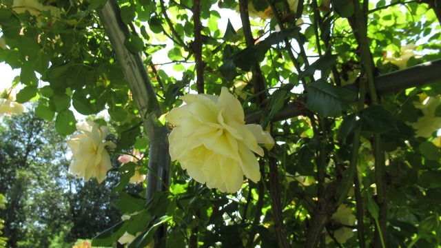 f:id:cafeee:20200901213341j:plain f:id:cafeee:20200901213341j:plain