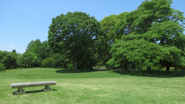 f:id:cafeee:20200901213414j:plain f:id:cafeee:20200901213414j:plain