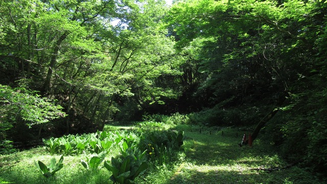 f:id:cafeee:20200901213516j:plain f:id:cafeee:20200901213516j:plain