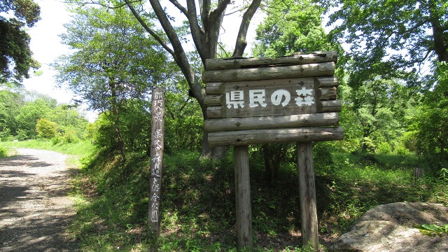 f:id:cafeee:20200901213620j:plain f:id:cafeee:20200901213620j:plain