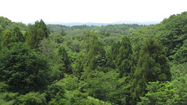 f:id:cafeee:20200901213702j:plain f:id:cafeee:20200901213702j:plain
