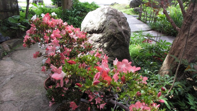 f:id:cafeee:20200905221426j:plain