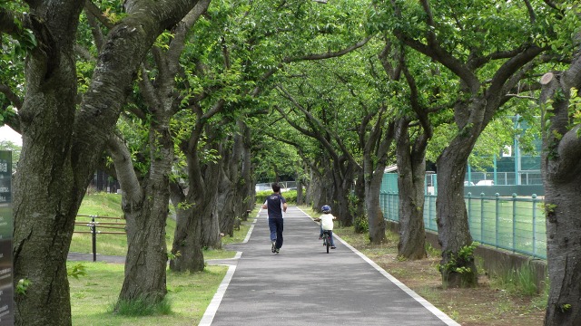 f:id:cafeee:20200905221648j:plain