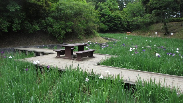 f:id:cafeee:20200905221711j:plain