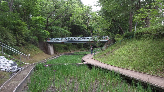 f:id:cafeee:20200905221739j:plain