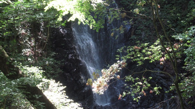 f:id:cafeee:20200907204717j:plain