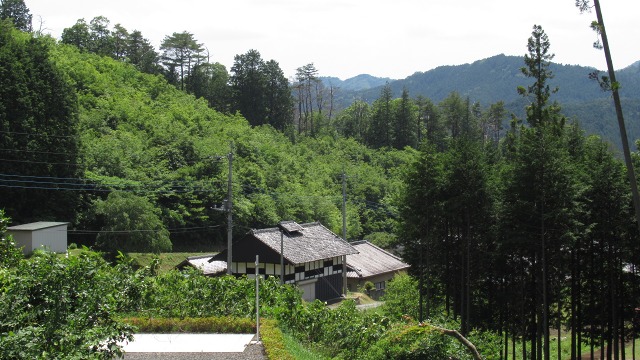 f:id:cafeee:20200907205327j:plain