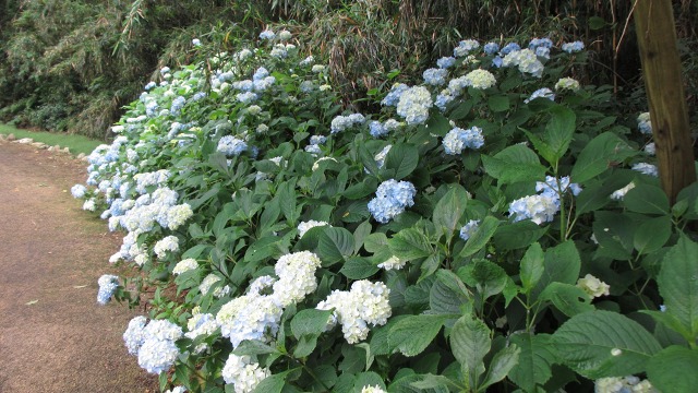 f:id:cafeee:20200909211810j:plain