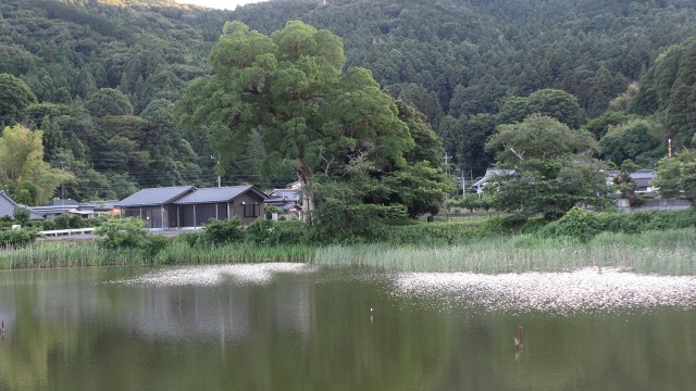 f:id:cafeee:20200910190802j:plain