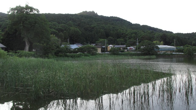 f:id:cafeee:20200910190949j:plain