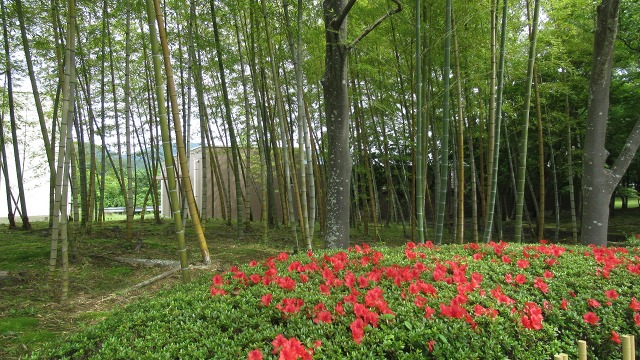 f:id:cafeee:20200911212625j:plain