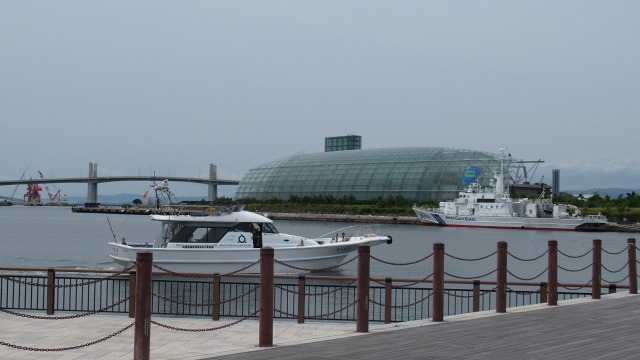 f:id:cafeee:20200911212950j:plain