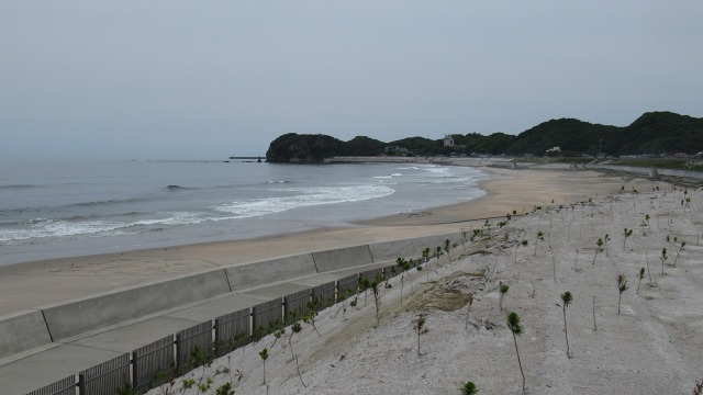 f:id:cafeee:20200911213203j:plain