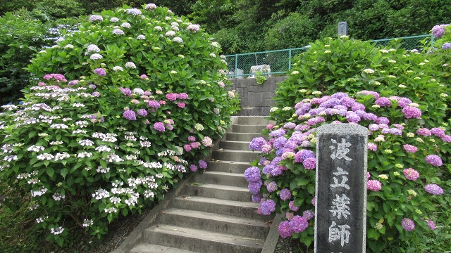 f:id:cafeee:20200913171150j:plain