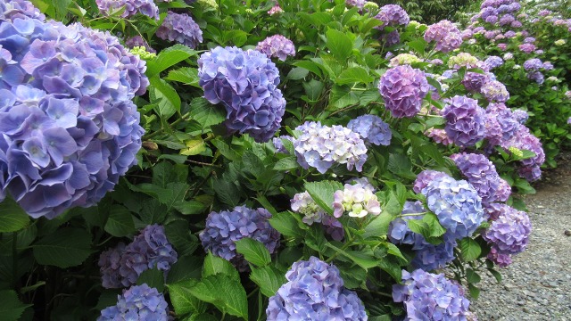 f:id:cafeee:20200913171222j:plain