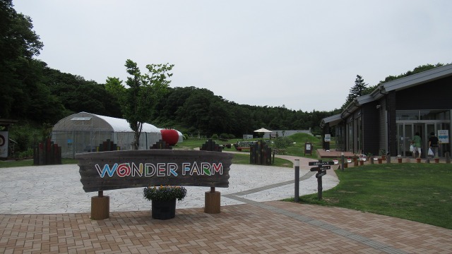f:id:cafeee:20200914204103j:plain